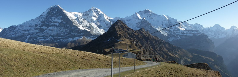 Panorama