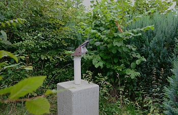 Wilde Sträucher um das Stativ herum