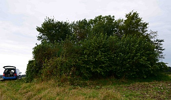 Der zugewachsene Hügel