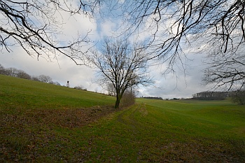 Wanderweg auf der Wiese