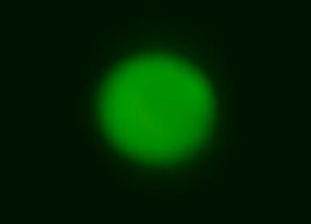 Mars in Falschfarben